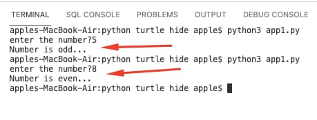 Python if else statement 