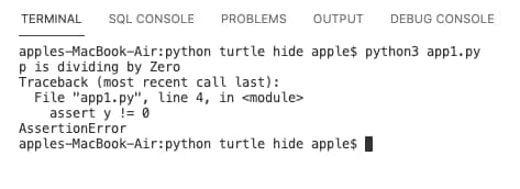 python keywords Assertion Error Example