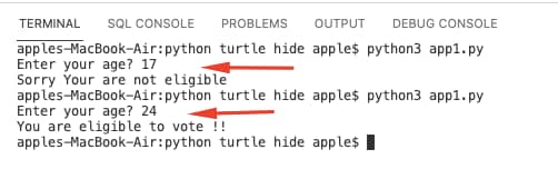 Python If else Statement