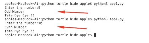 Python Indentation Example